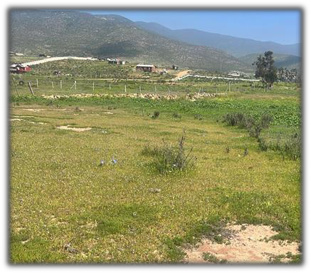 Terreno Pan de Azúcar